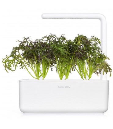 Click & Grow Smart Garden refill Punane sinep 3tk