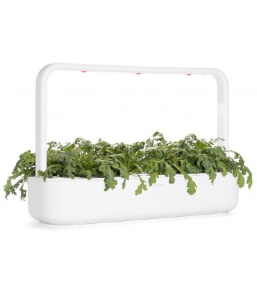 Click & Grow Smart Garden refill Shungiku 3tk