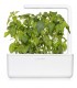 Click & Grow Smart Garden refill Laimbasiilik 3tk