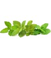 Click & Grow Plant Pod Calming Tea Mix 9tk