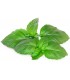 Click & Grow Smart Garden refill Marseille basiilik 3tk