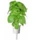 Click & Grow Smart Garden refill Marseille basiilik 3tk