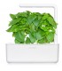 Click & Grow Smart Garden refill Marseille basiilik 3tk