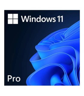 Microsoft FQC-10572 Win 11 Pro 64-Bit All Lng 1pk DSP OEI DVD