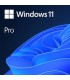 Microsoft Win 11 Pro GGK 64Bit Eng Intl 1pk DSP ORT OEI DVD Win Pro OEM English 4YR-00316