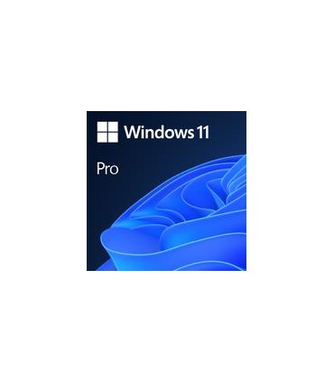 Microsoft Win 11 Pro GGK 64Bit Eng Intl 1pk DSP ORT OEI DVD Win Pro OEM English 4YR-00316