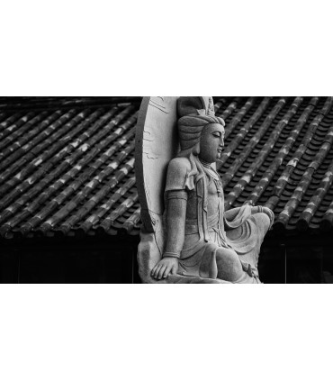 Samyang AF 75mm f/1.8 objektiiv Fujifilmile