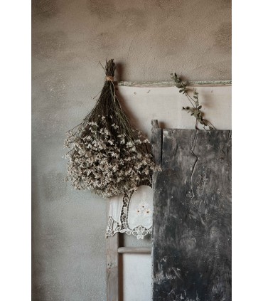 Samyang AF 75mm f/1.8 objektiiv Fujifilmile