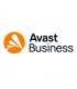 Avast Business Premium Remote Control, New electronic licence, 1 year, 1 unlimited concurrent session
