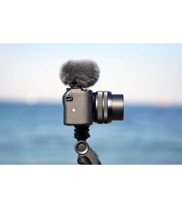 Sony mikrofon ECM-G1