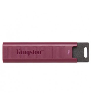 Kingston Memory Drive Flash 1TB DTMAXA