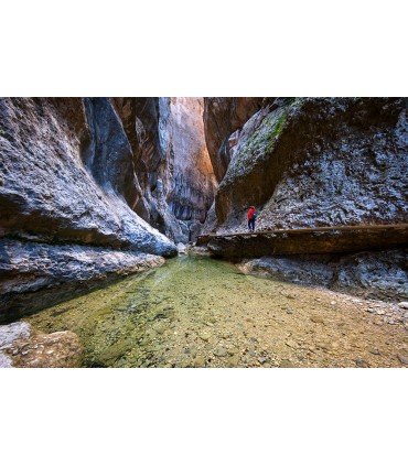 Fujifilm XF 8mm f/3.5 R WR objektiiv