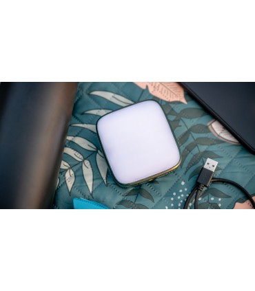 Newell LED-lamp Campina