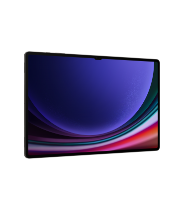 Samsung Galaxy Tab S9 Ultra, 256GB, 5G, hall SM-X916BZAAEUE