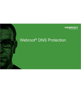 Webroot DNS Protection with GSM Console, 2 year(s), License quantity 1-9 user(s)
