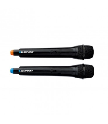 Blaupunkt PB12DB Party Box