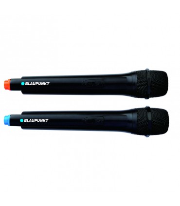 Blaupunkt PB06DB Party Box