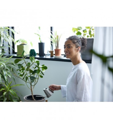 Technics EAH-AZ40M2ES, hõbedane