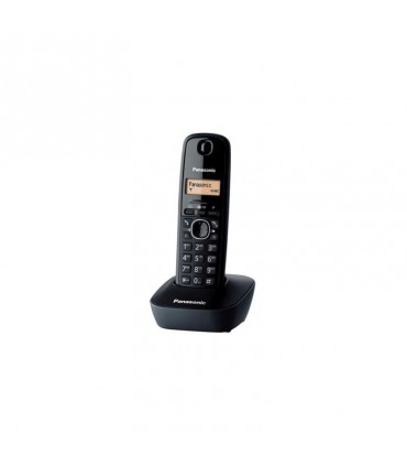 Panasonic KX-TG1611FXH