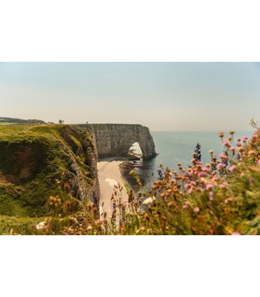 Tamron 17-50mm f/4.0 Di III VXD objektiiv Sonyle