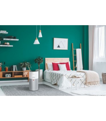 Hoover HHP50CA011 õhupuhasti