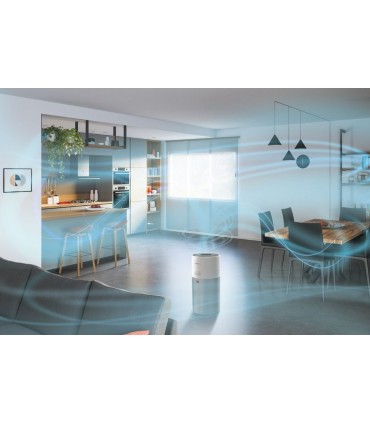 Hoover HHP50CA011 õhupuhasti