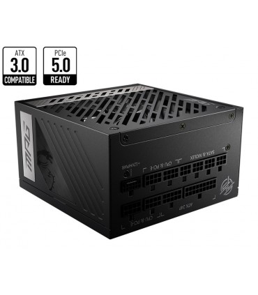 MSI 1000 Watts MPGA1000GPCIE5