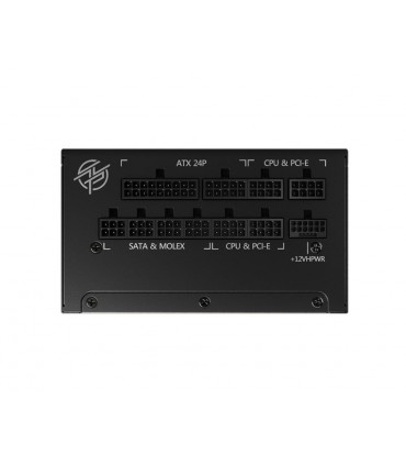 MSI 1000 Watts MPGA1000GPCIE5