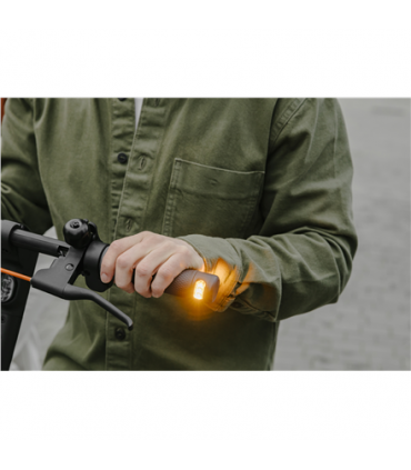 Ninebot by Segway Kickscooter F2 Plus E Black