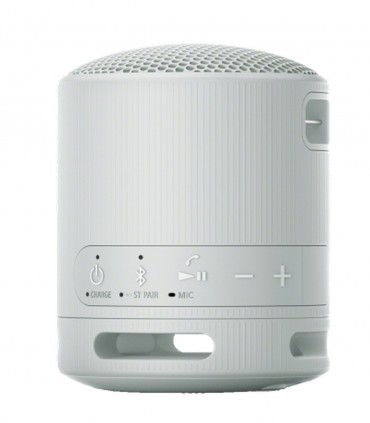 Sony SRS-XB100H helehall