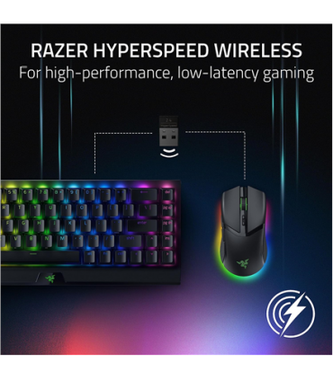 Razer Cobra Pro Black Wireless Wireless (2.4GHz and Bluetooth)