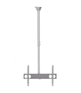 Sunne Ceiling mount PL-C62 37-70 " Tilt Maximum weight (capacity) 50 kg Silver