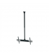 Sunne Ceiling mount PL-C62 37-70 " Tilt Maximum weight (capacity) 50 kg Silver