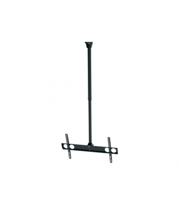 Sunne Ceiling mount PL-C62 37-70 " Tilt Maximum weight (capacity) 50 kg Silver