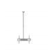 Sunne Ceiling mount PL-C62 37-70 " Tilt Maximum weight (capacity) 50 kg Silver