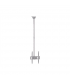 Sunne Ceiling mount PL-C62 37-70 " Tilt Maximum weight (capacity) 50 kg Silver
