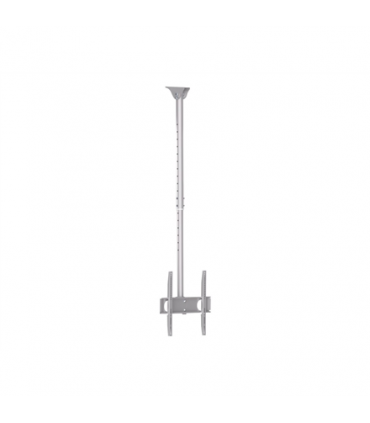 Sunne Ceiling mount PL-C62 37-70 " Tilt Maximum weight (capacity) 50 kg Silver