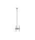 Sunne Ceiling mount PL-C62 37-70 " Tilt Maximum weight (capacity) 50 kg Silver
