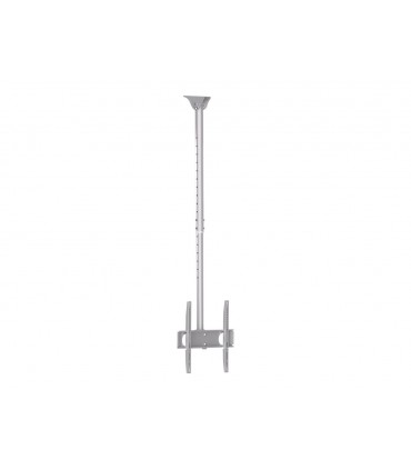 Sunne Ceiling mount PL-C62 37-70 " Tilt Maximum weight (capacity) 50 kg Silver