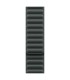 Apple 41mm Evergreen Magnetic Link - M/L