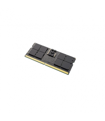 Lexar 16 GB DDR5 4800 MHz PC/server