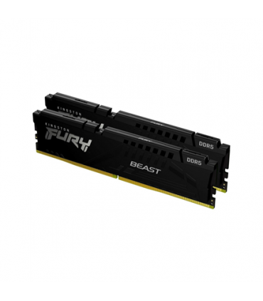 Kingston 64GB DDR5