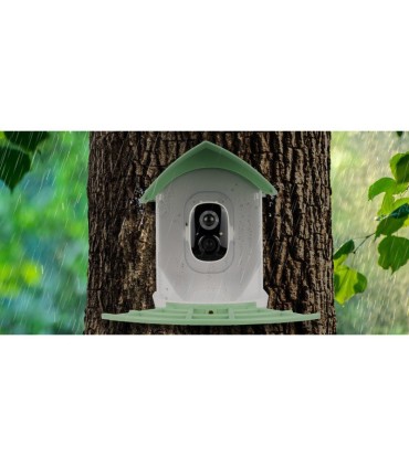 Redleaf linnuvaatluskaamera RD001