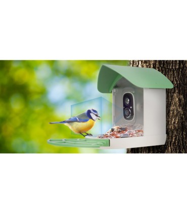 Redleaf linnuvaatluskaamera RD001