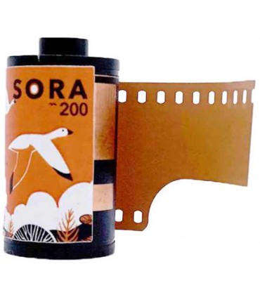 FilmNeverDie film Sora 200/36