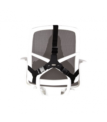 Fellowes Professional back support Professional Series