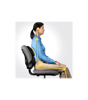 Fellowes Professional back support Professional Series