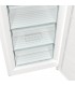 Gorenje FN619EEW5