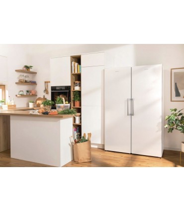 Gorenje FN619EEW5