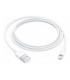 Apple Lightning - USB kaabel, 1m